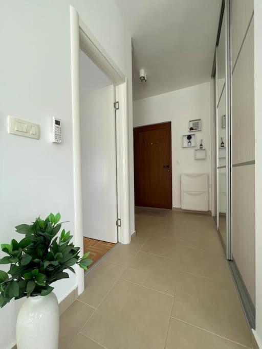 Acacia Hill Apartments Herceg Novi Exterior photo