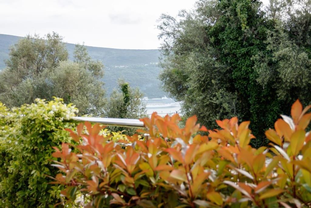 Acacia Hill Apartments Herceg Novi Exterior photo
