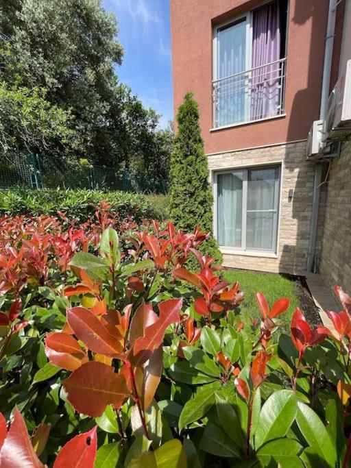 Acacia Hill Apartments Herceg Novi Exterior photo